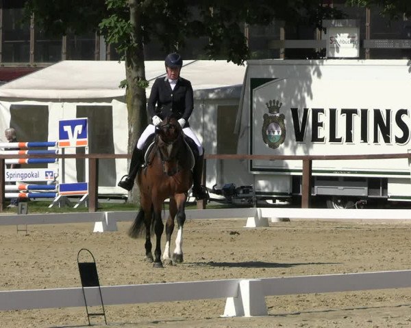 Reitturnier Everswinkel 2022