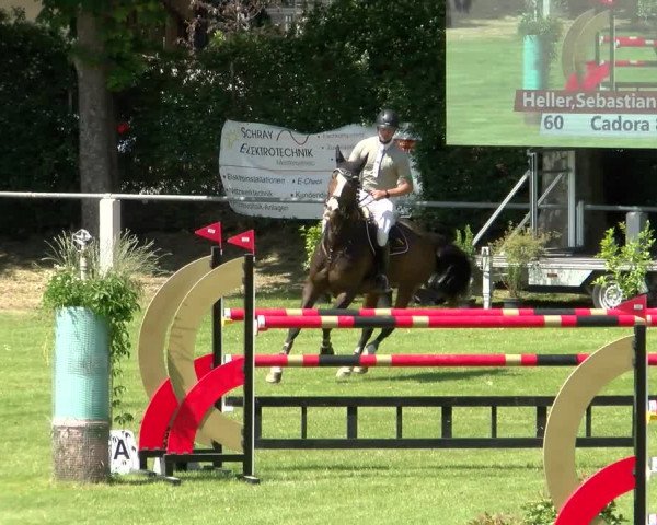 Reitturnier Forst 2022