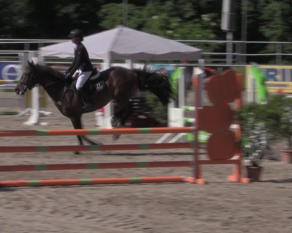 Reitturnier Lgl.-Oberhain, B95 2022