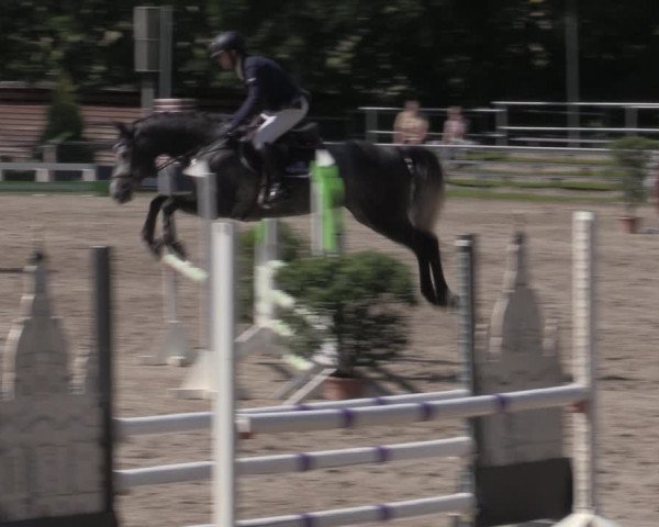 Reitturnier Lgl.-Oberhain, B95 2022