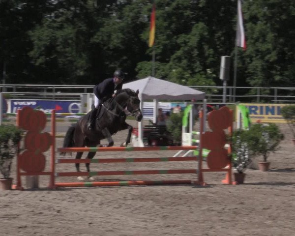 Reitturnier Lgl.-Oberhain, B95 2022