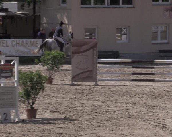 Reitturnier Lgl.-Oberhain, B95 2022