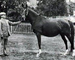 broodmare Nefisa 1885 ox (Arabian purebred, 1885, from Hadban DB)