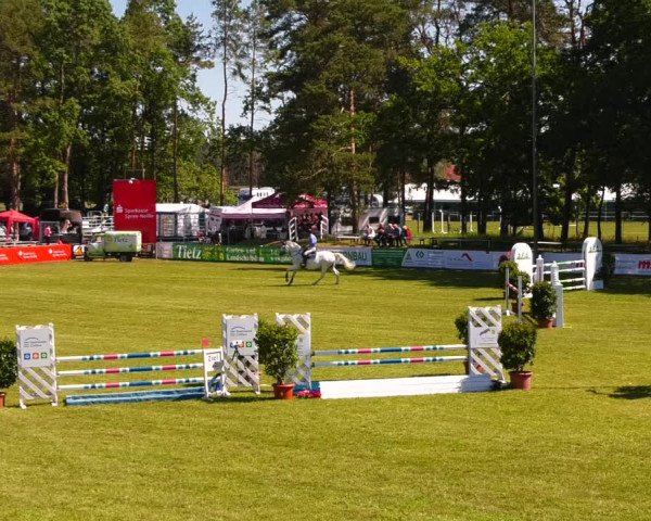 Reitturnier Cottbus-Sielow 2022