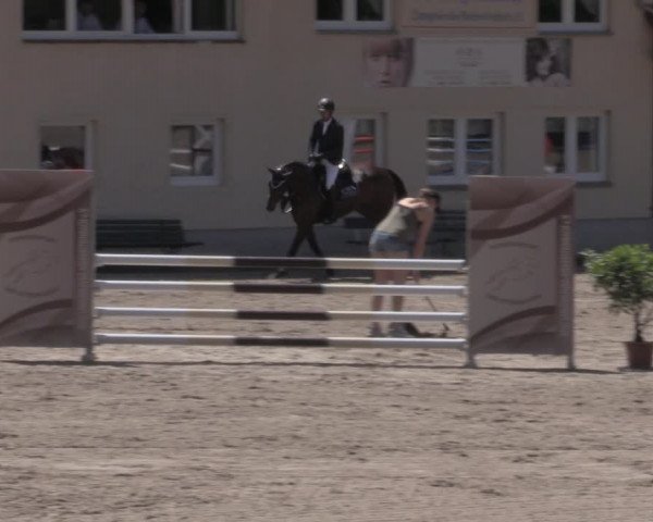 Reitturnier Lgl.-Oberhain, B95 2022