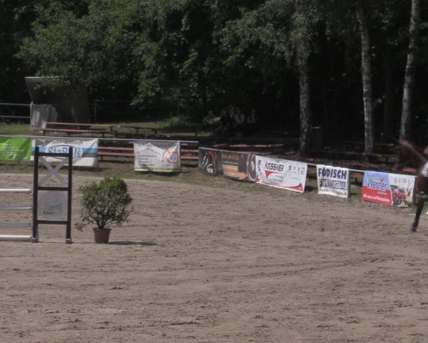 Reitturnier Lgl.-Oberhain, B95 2022