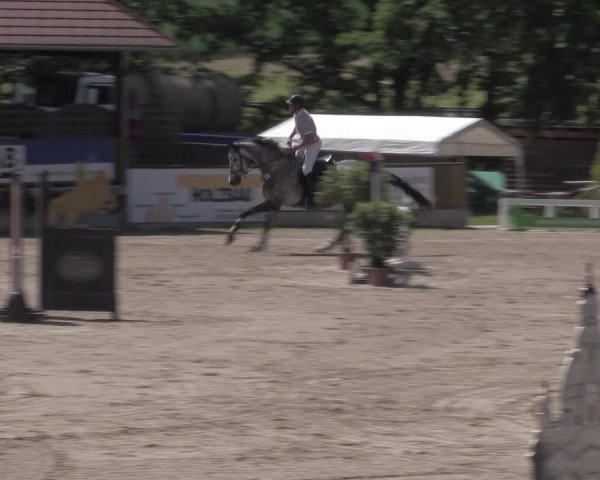 Reitturnier Lgl.-Oberhain, B95 2022
