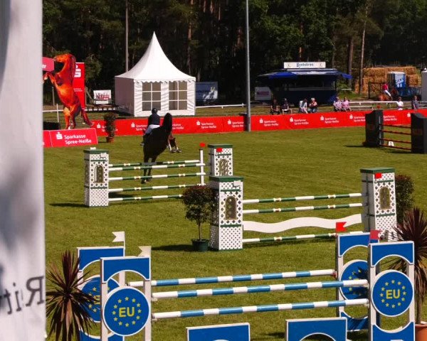 Reitturnier Cottbus-Sielow 2022