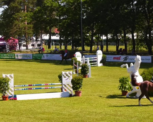 Reitturnier Cottbus-Sielow 2022