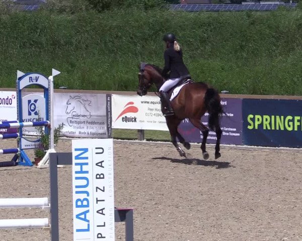 Springturnier Niebüll 2022