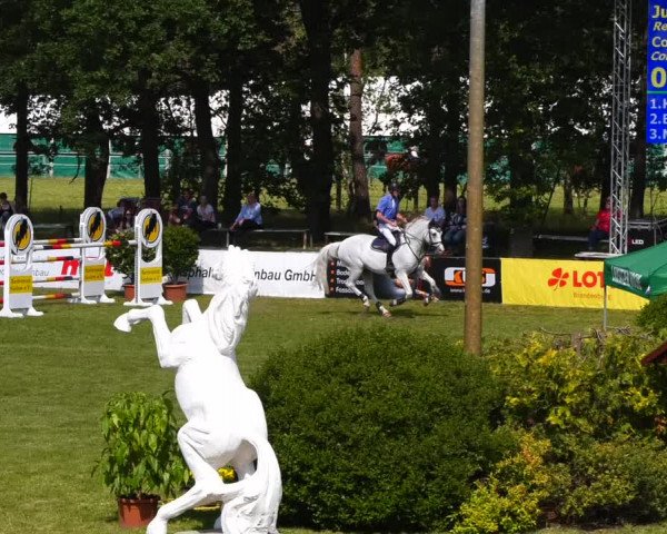 Reitturnier Cottbus-Sielow 2022
