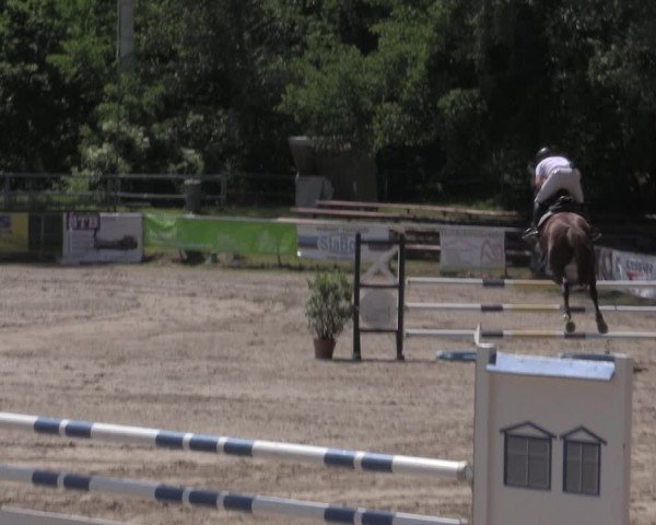 Reitturnier Lgl.-Oberhain, B95 2022