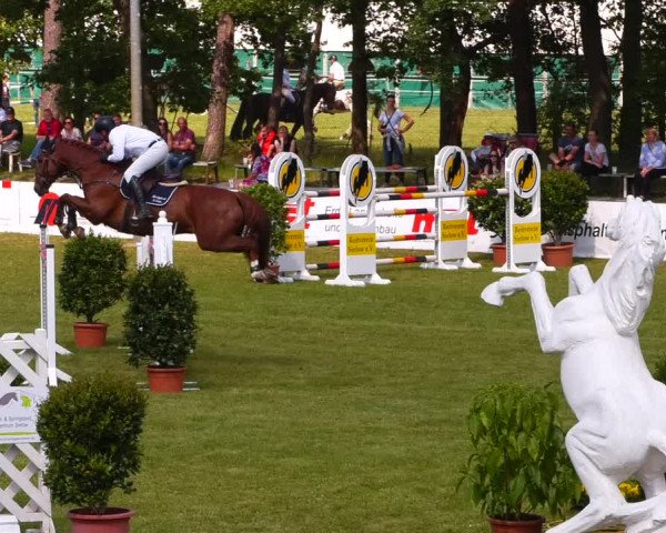 Reitturnier Cottbus-Sielow 2022