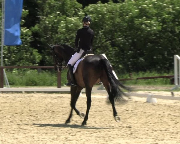 Reitturnier Everswinkel 2022