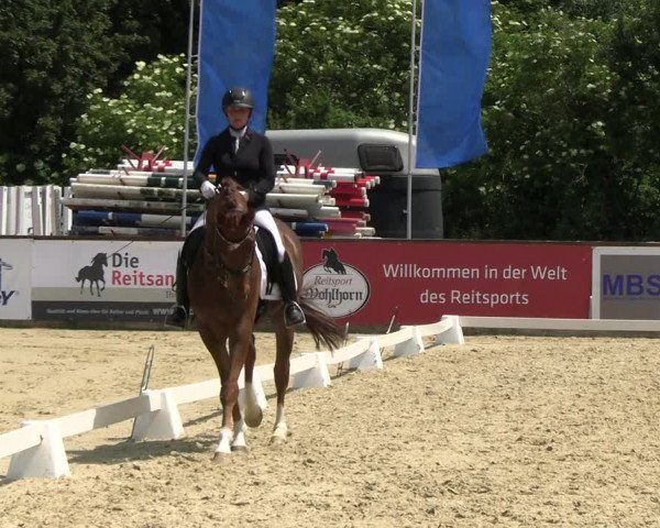 Reitturnier Everswinkel 2022
