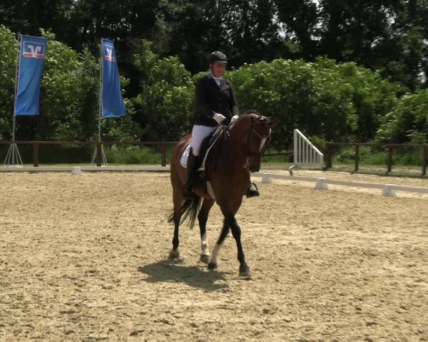 Reitturnier Everswinkel 2022