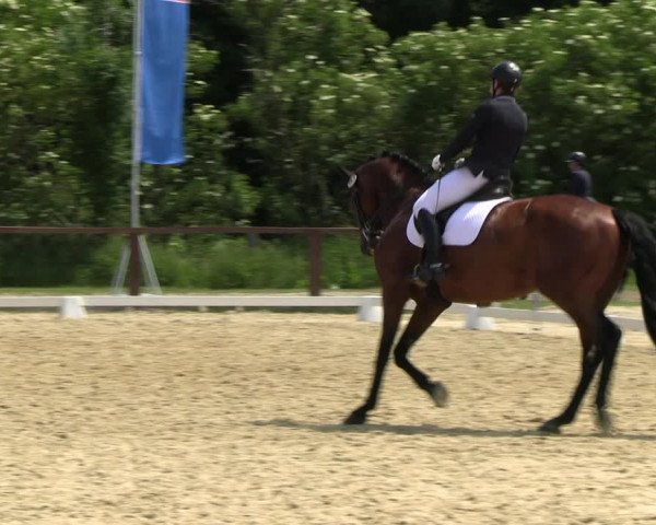Reitturnier Everswinkel 2022