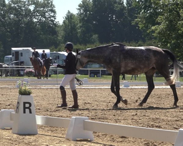 Reitturnier Pennigbüttel 2022