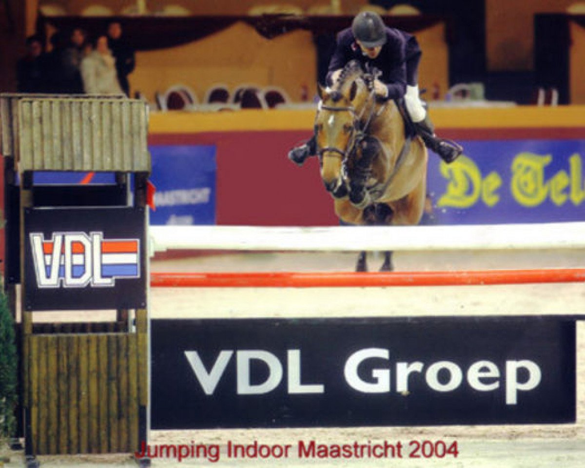 broodmare Caloma Z (Zangersheide riding horse, 1995, from Carthago)