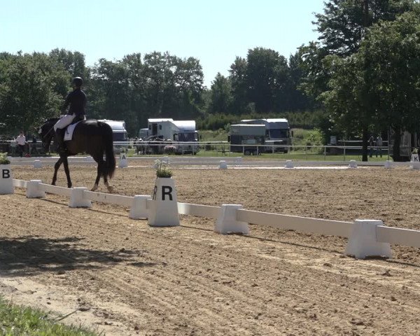 Reitturnier Pennigbüttel 2022