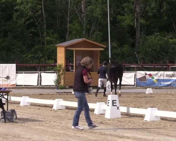 Reitturnier Frechen-Grefrath - Sonnenhof 2022