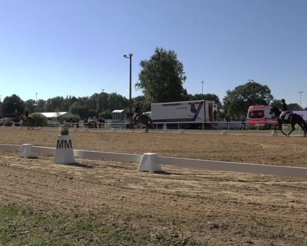 Reitturnier Pennigbüttel 2022