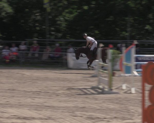 Reitturnier Lgl.-Oberhain, B95 2022
