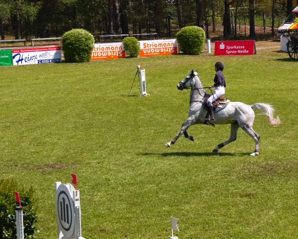 Reitturnier Cottbus-Sielow 2022