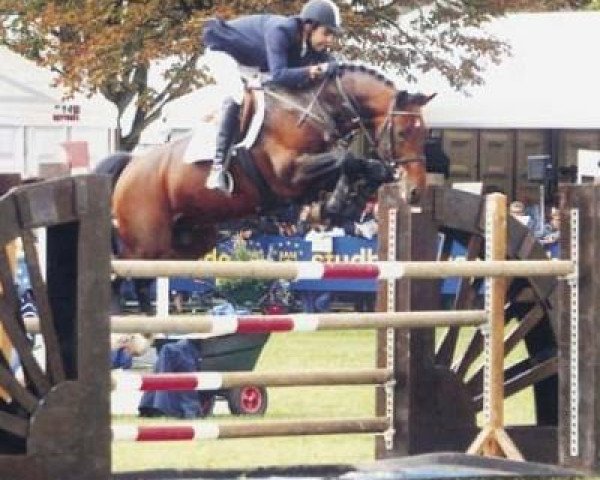 stallion Arkansas (KWPN (Royal Dutch Sporthorse), 1996, from Acobat II) stallion Arkansas (KWPN (Royal Dutch Sporthorse), 1996, from Acobat II)