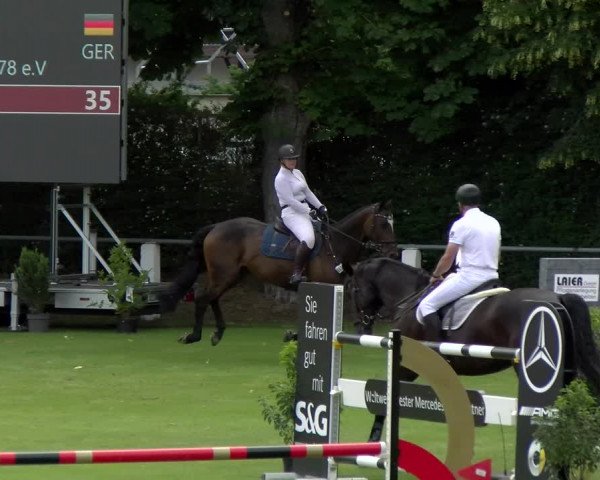 Reitturnier Forst 2022