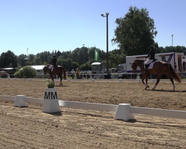 Reitturnier Pennigbüttel 2022
