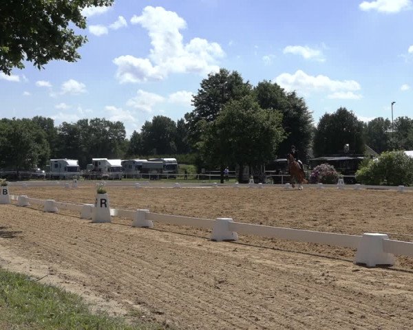 Reitturnier Pennigbüttel 2022