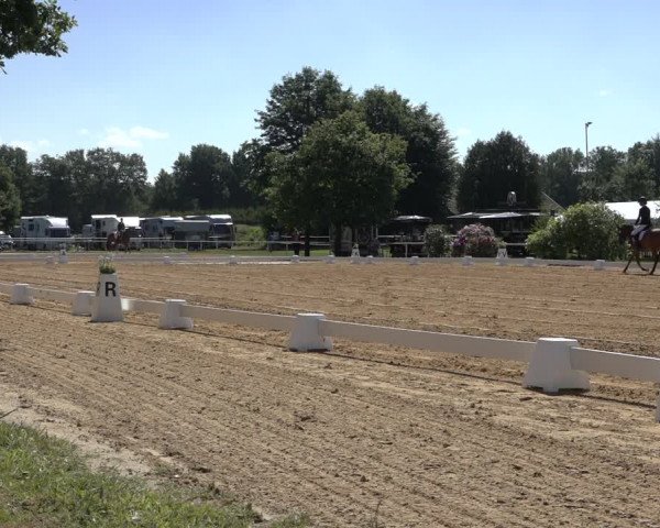 Reitturnier Pennigbüttel 2022