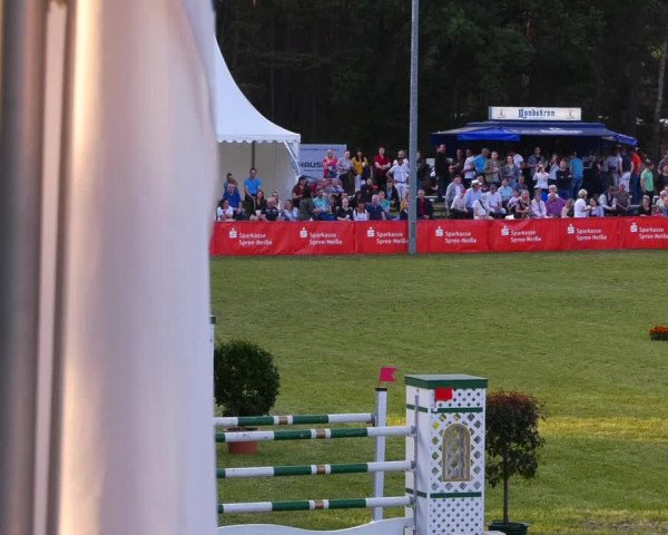 Reitturnier Cottbus-Sielow 2022