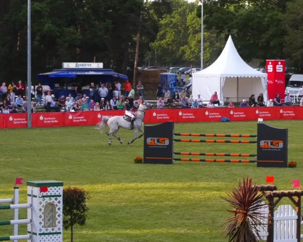 Reitturnier Cottbus-Sielow 2022