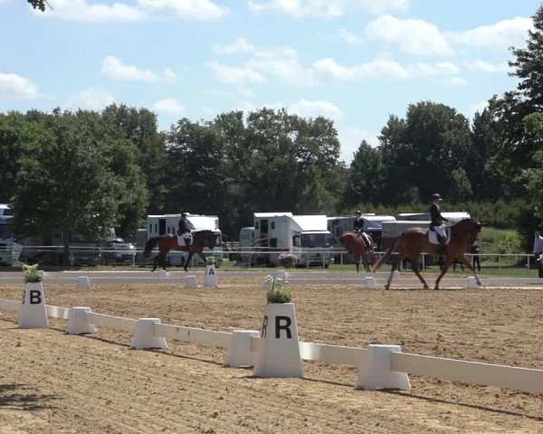 Reitturnier Pennigbüttel 2022