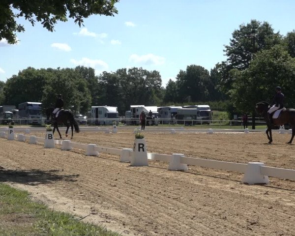 Reitturnier Pennigbüttel 2022