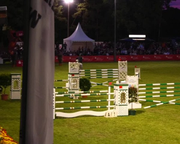 Reitturnier Cottbus-Sielow 2022