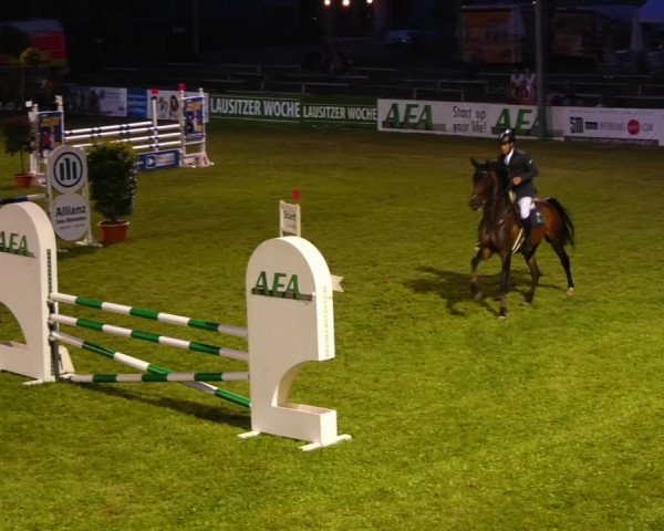 Reitturnier Cottbus-Sielow 2022