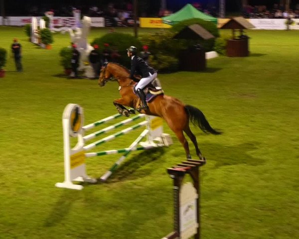 Reitturnier Cottbus-Sielow 2022