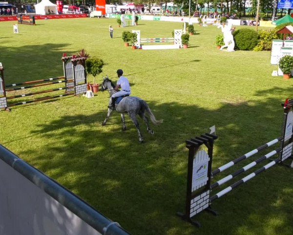 Reitturnier Cottbus-Sielow 2022