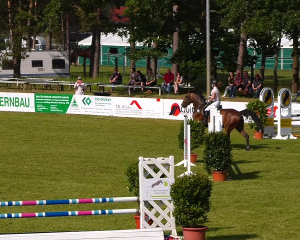Reitturnier Cottbus-Sielow 2022