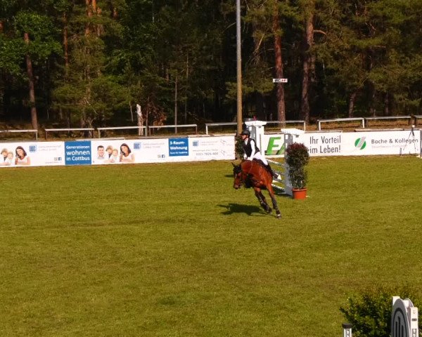 Reitturnier Cottbus-Sielow 2022
