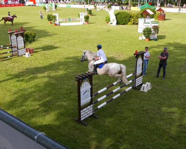Reitturnier Cottbus-Sielow 2022