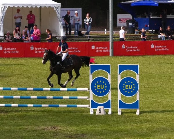 Reitturnier Cottbus-Sielow 2022