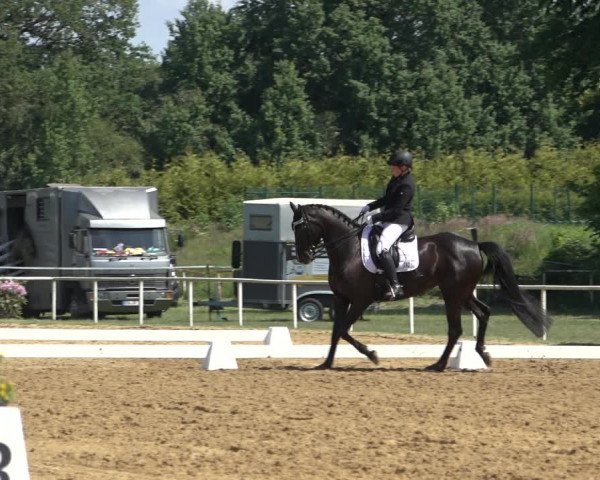 Reitturnier Pennigbüttel 2022