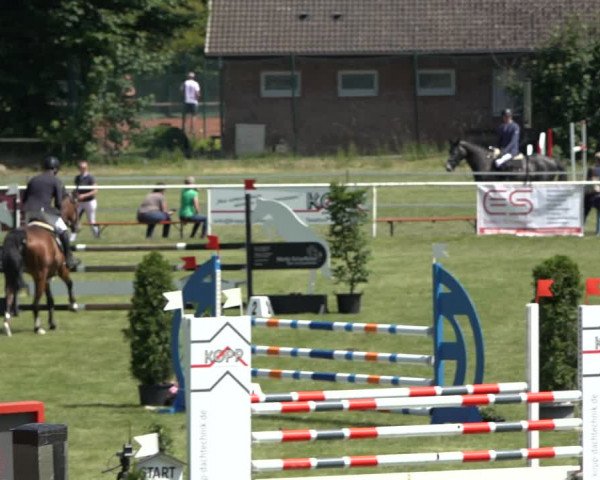 Reitturnier Pennigbüttel 2022
