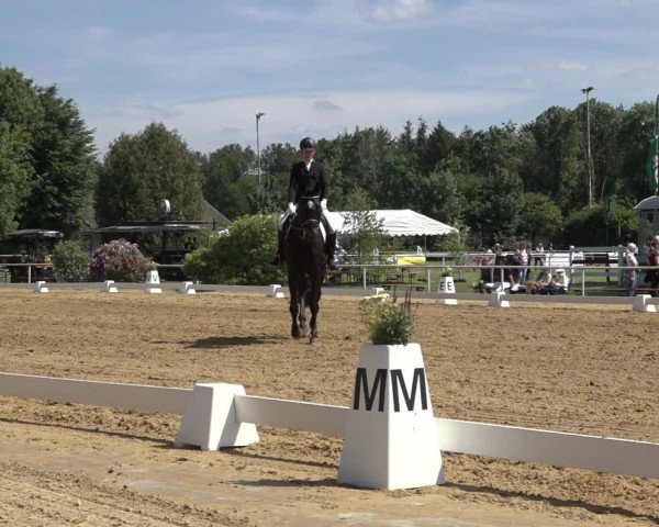 Reitturnier Pennigbüttel 2022