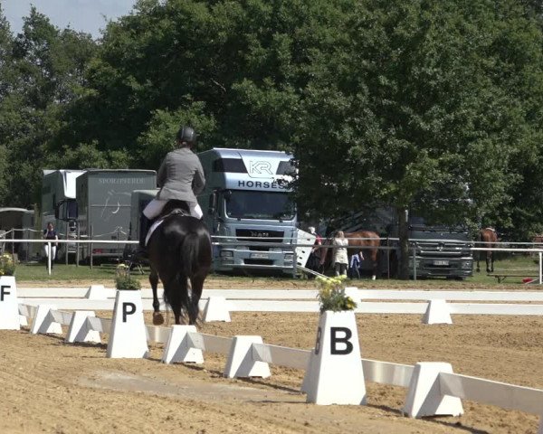 Reitturnier Pennigbüttel 2022