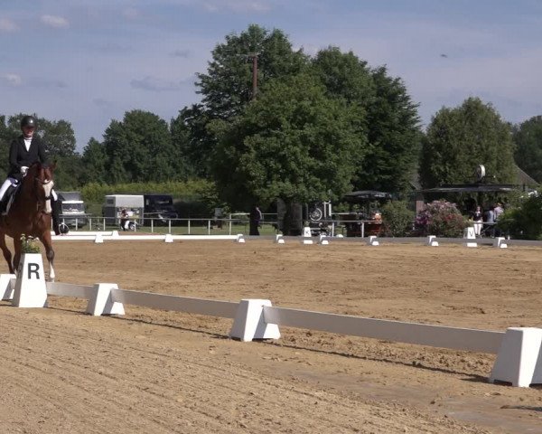 Reitturnier Pennigbüttel 2022